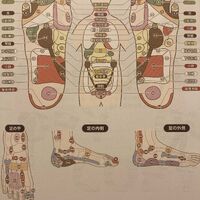 画像1364