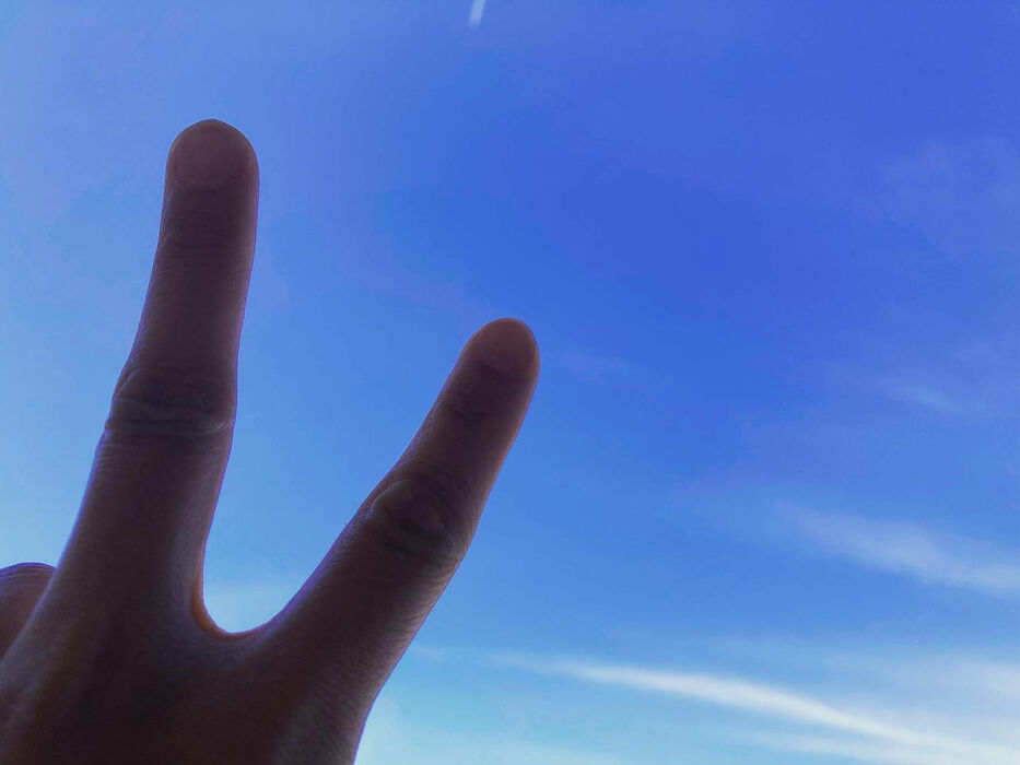 画像1394