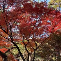 画像1717