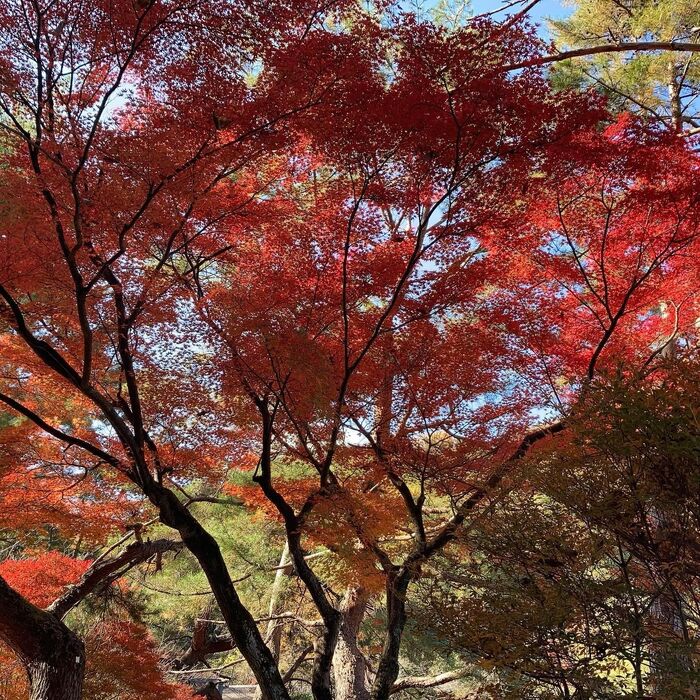 画像1717