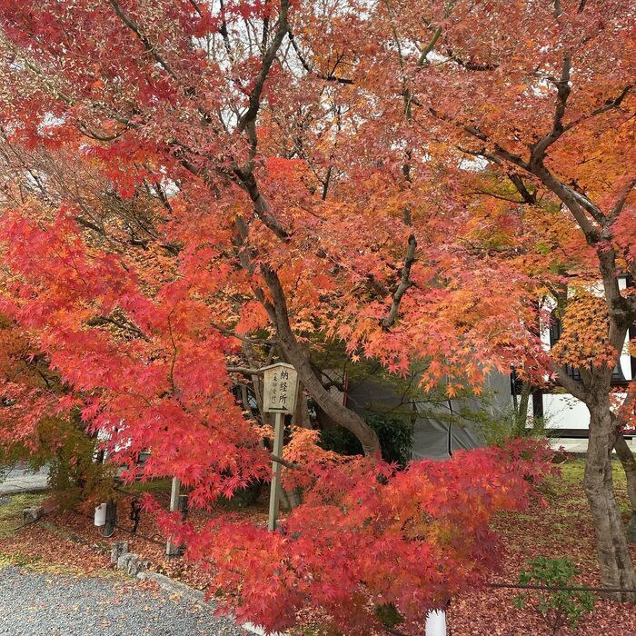 画像1718