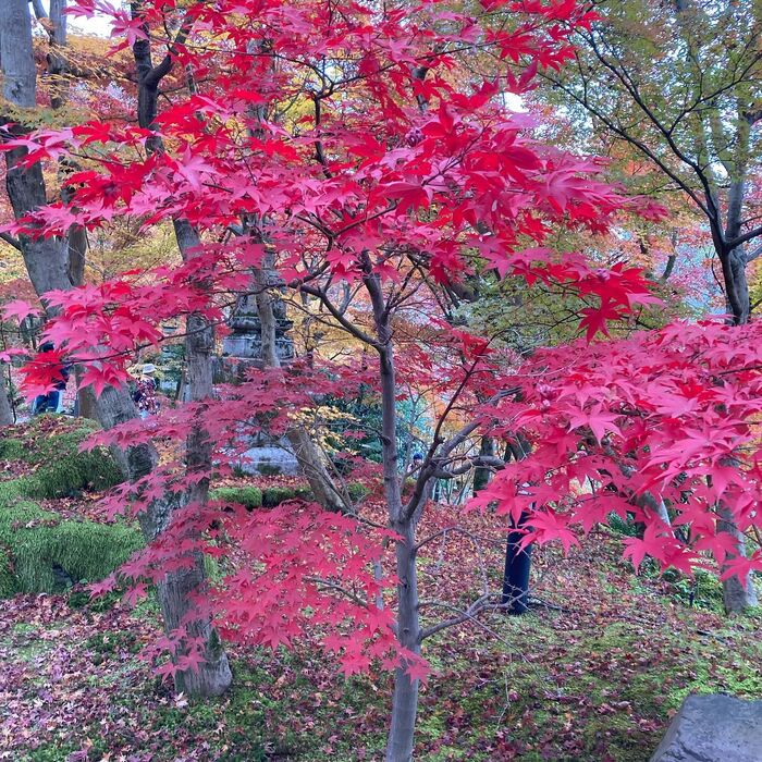 画像1720